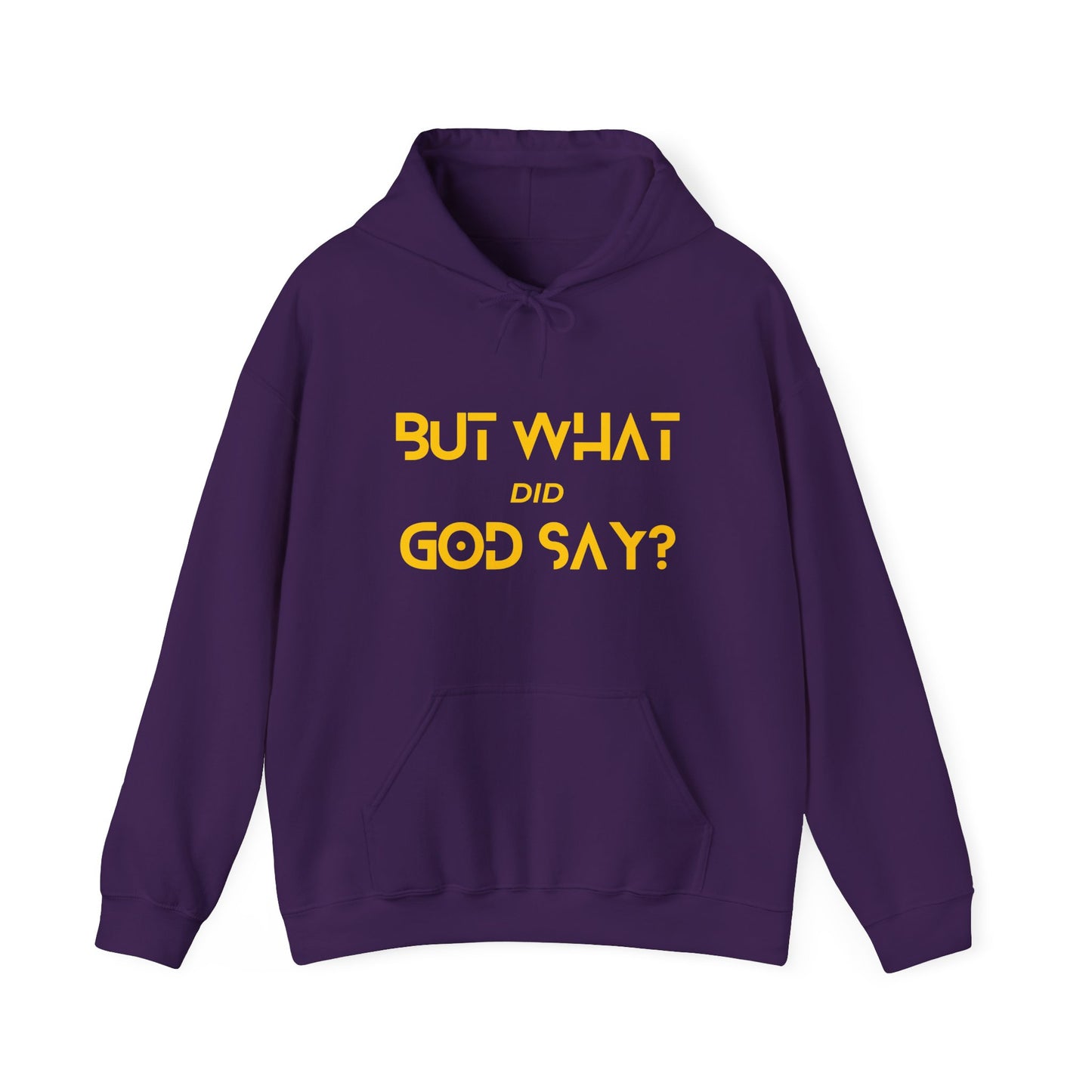 But What Did God Say? Hoodie