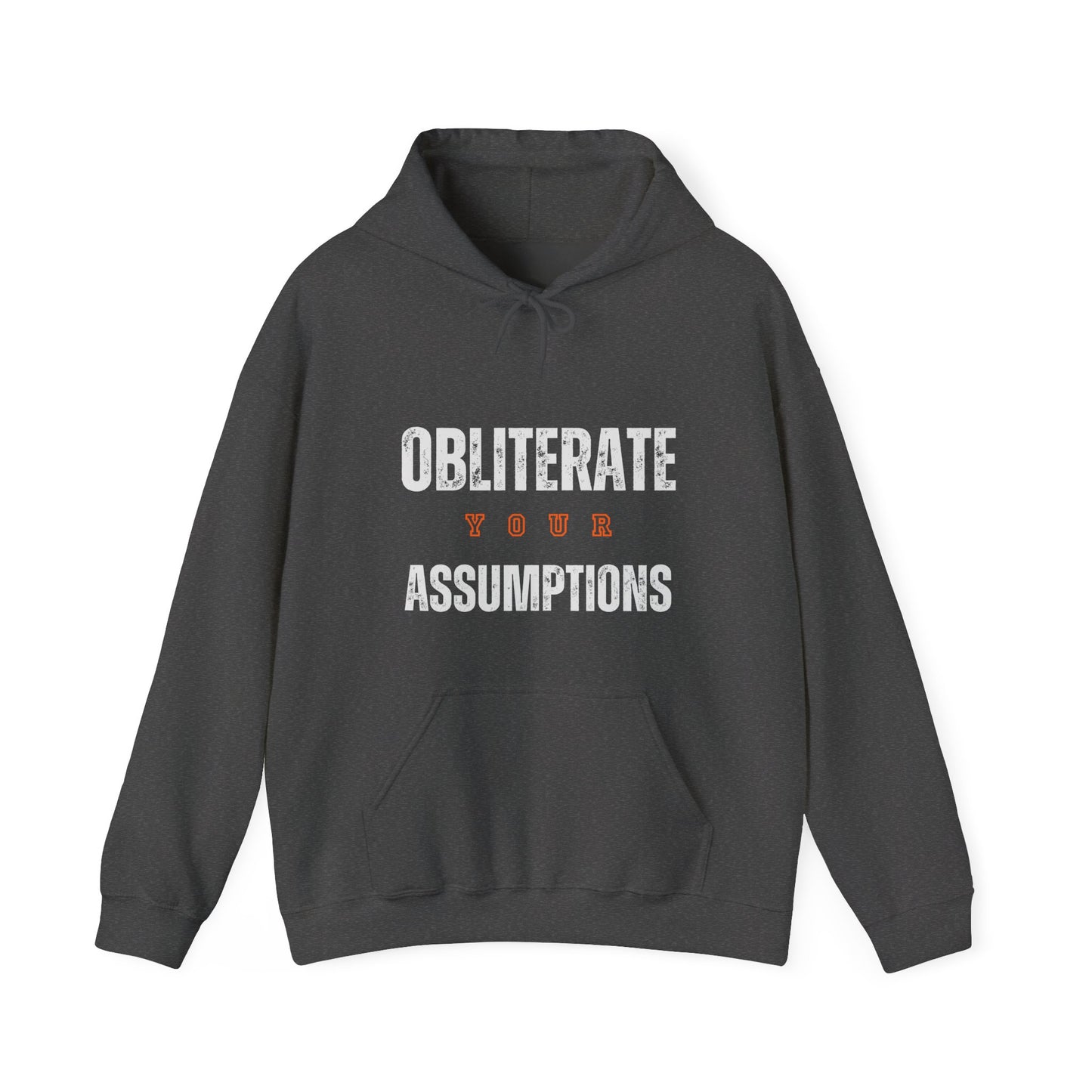 Obliterate Your Assumptions Hoodie