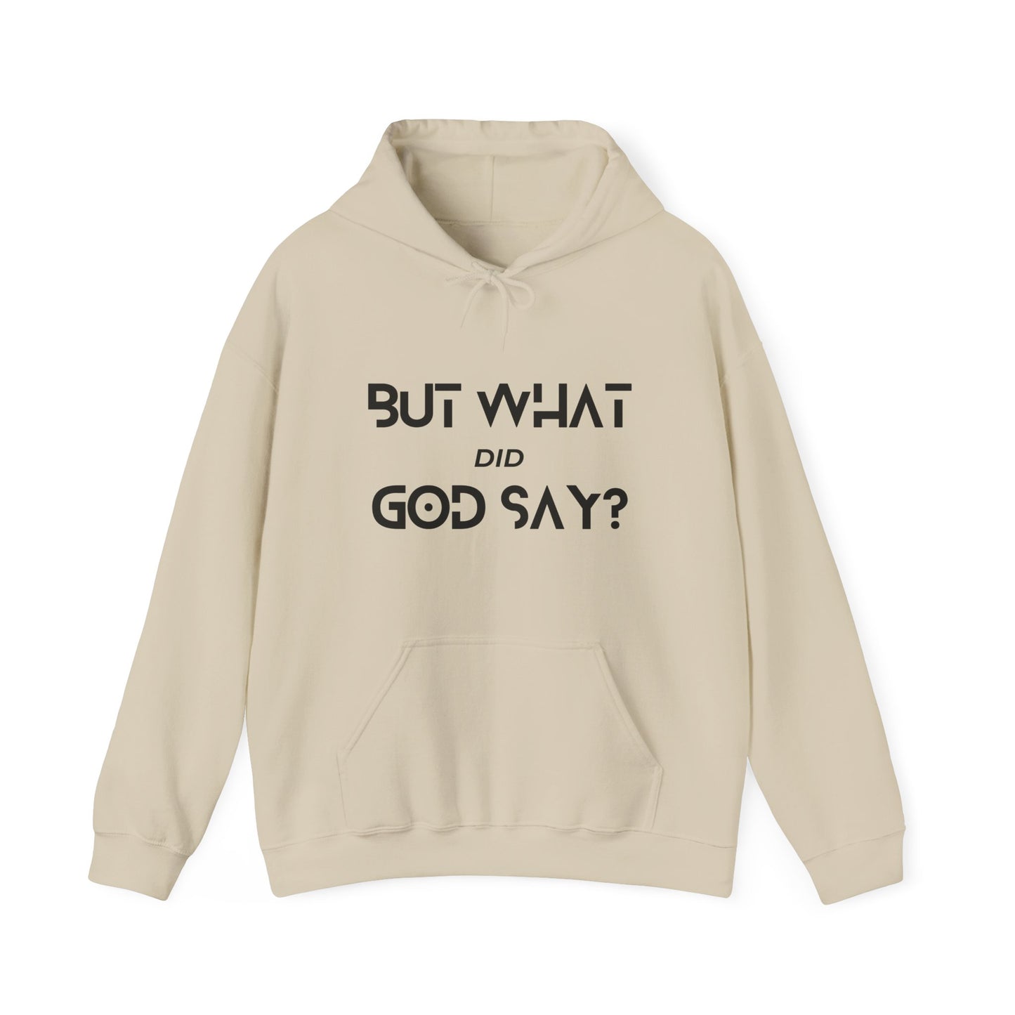 But What Did God Say? Hoodie