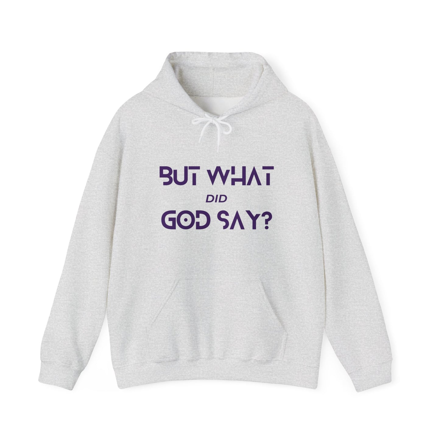 But What Did God Say? Hoodie