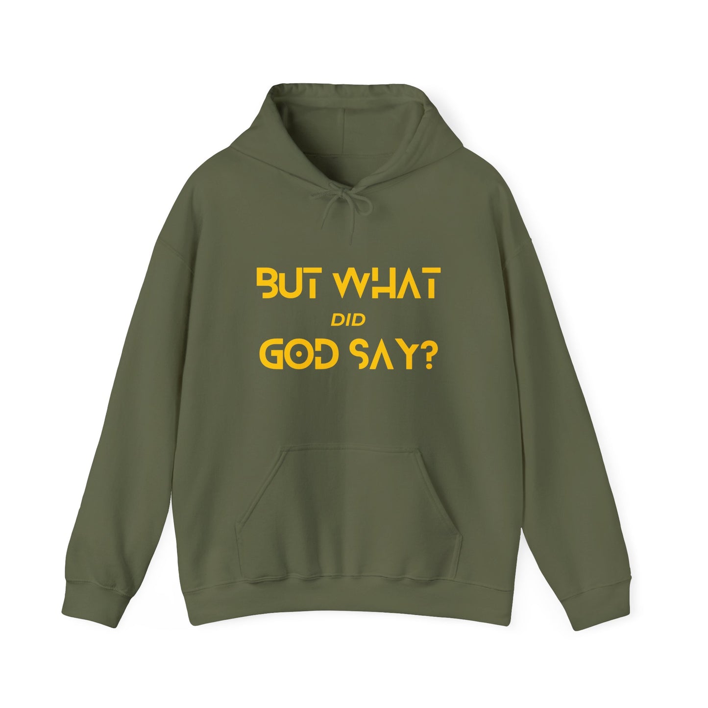 But What Did God Say? Hoodie