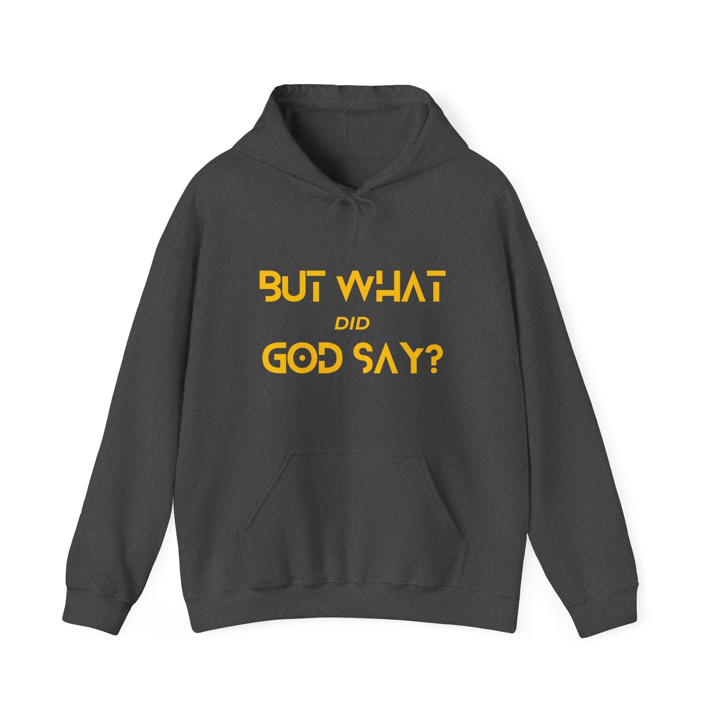 But What Did God Say? Hoodie