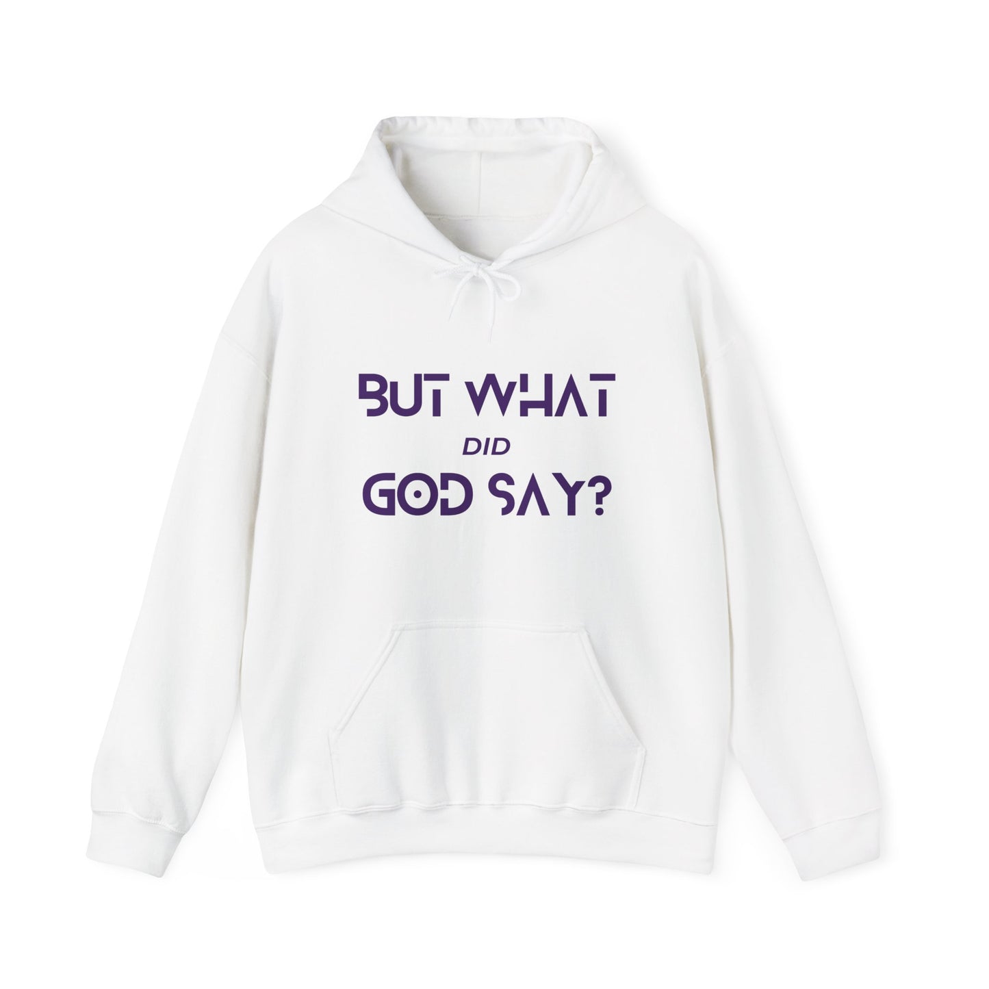 But What Did God Say? Hoodie