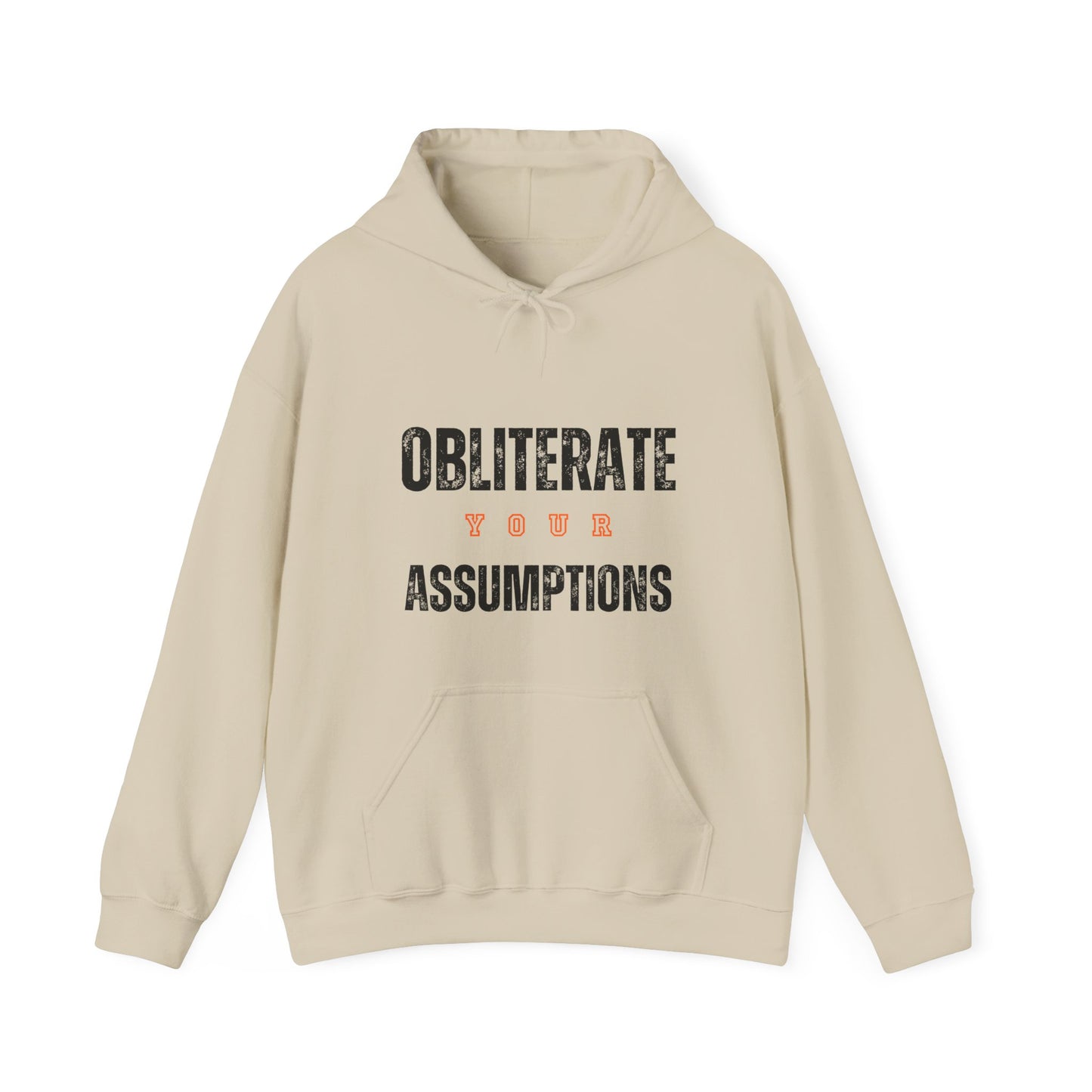 Obliterate Your Assumptions Hoodie