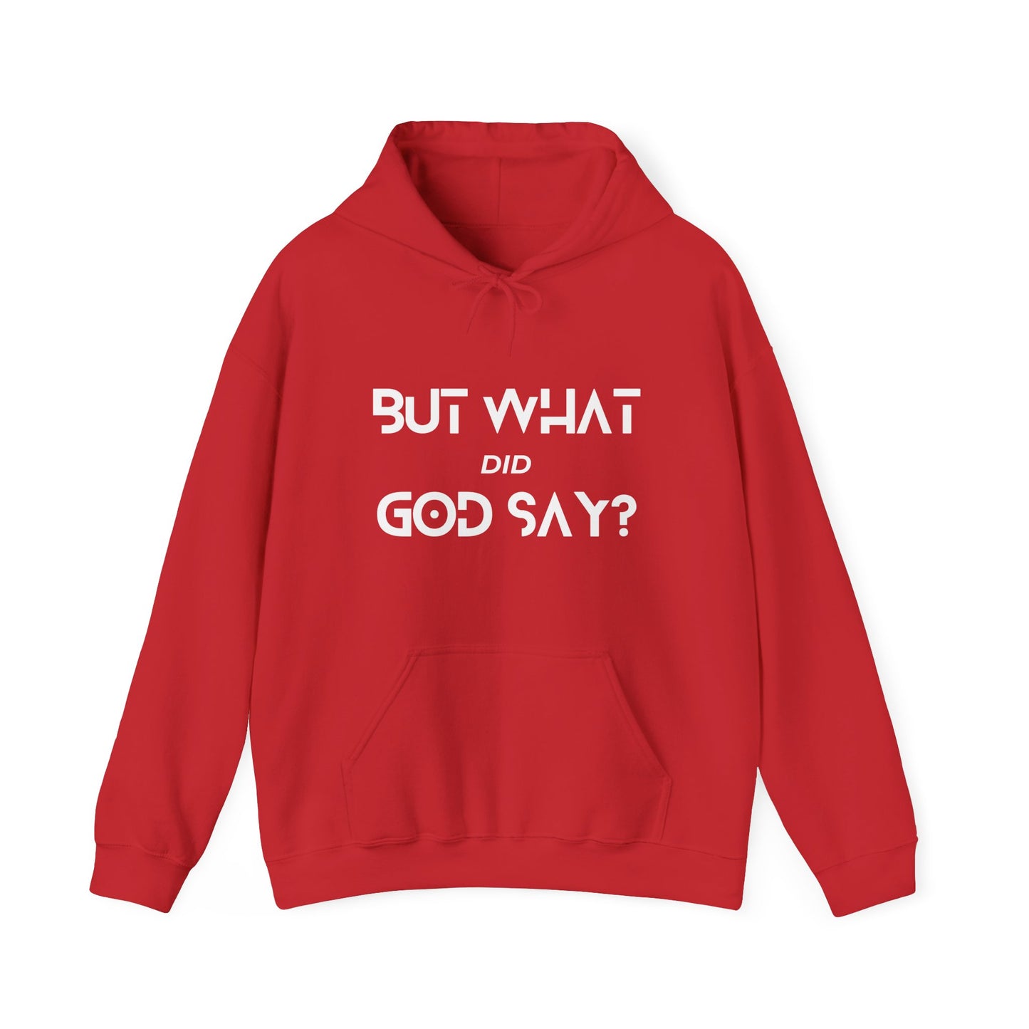 But What Did God Say? Hoodie