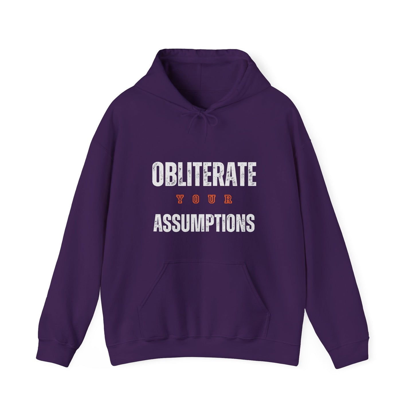Obliterate Your Assumptions Hoodie