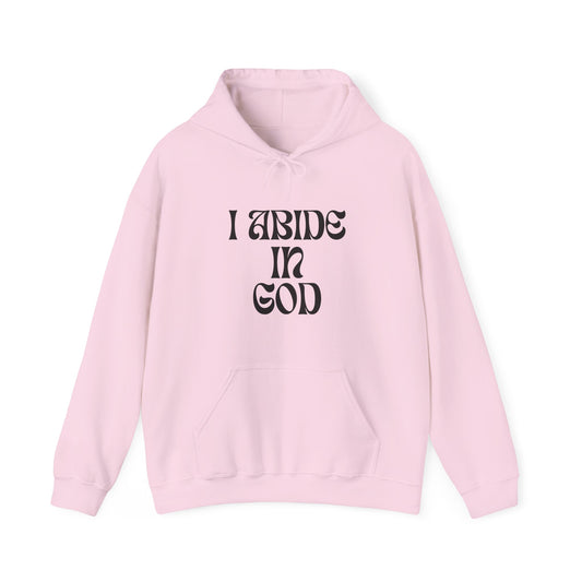 I Abide In God, God Abides In Me Hoodie