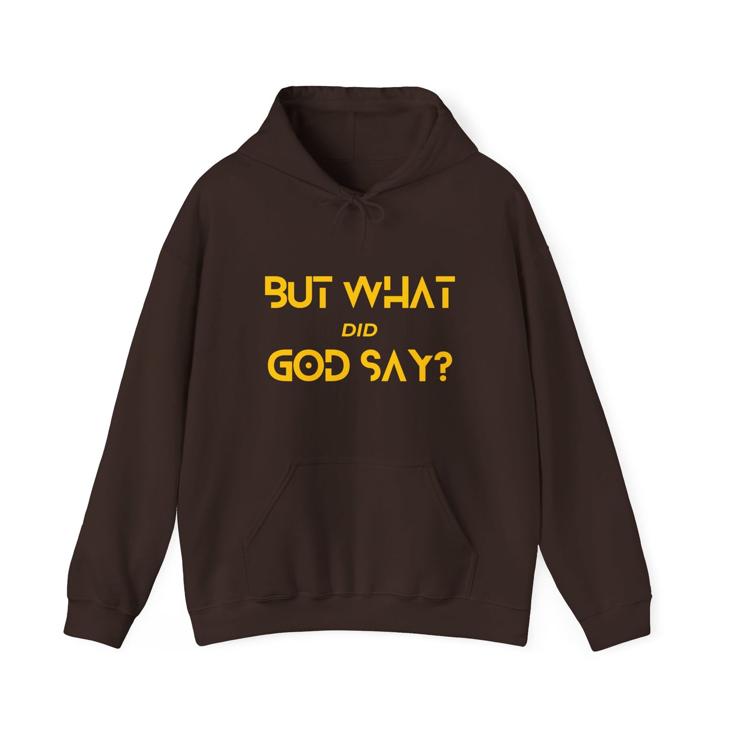 But What Did God Say? Hoodie
