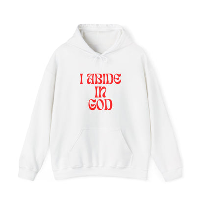 I Abide In God, God Abides In Me Hoodie